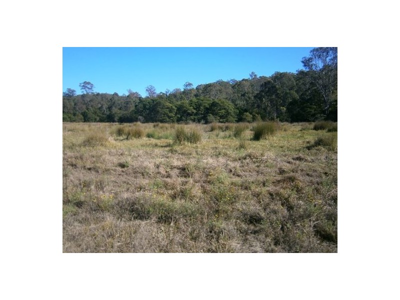 85 North Belmore Road, Rappville NSW 2469