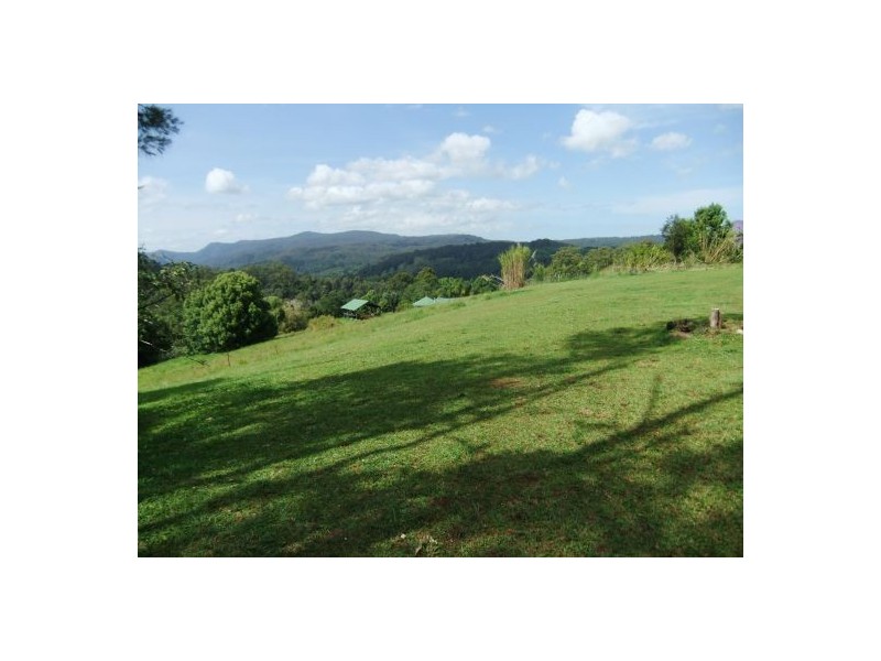 Terania Creek NSW 2480