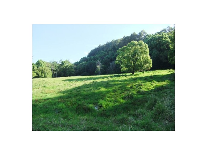 Terania Creek NSW 2480