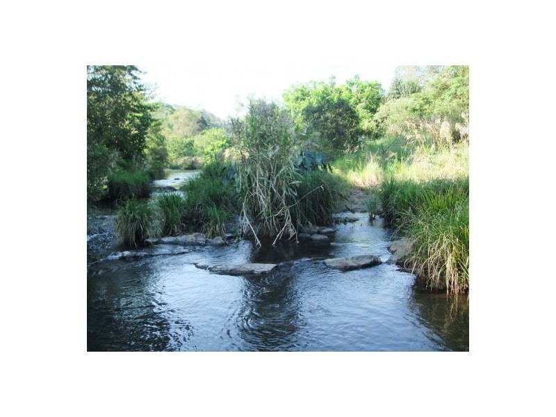 Terania Creek NSW 2480