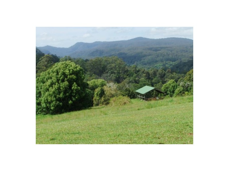 Terania Creek NSW 2480