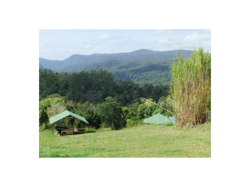 Terania Creek NSW 2480