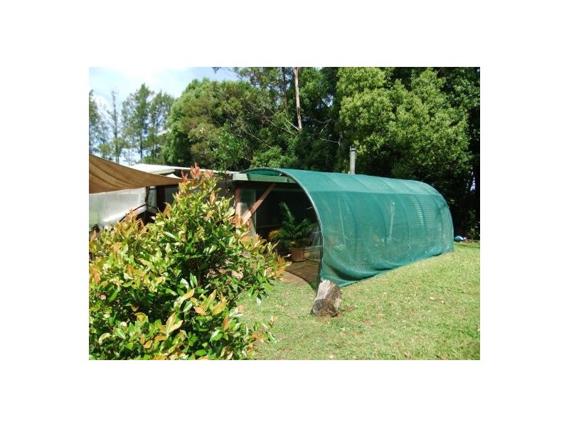 Terania Creek NSW 2480