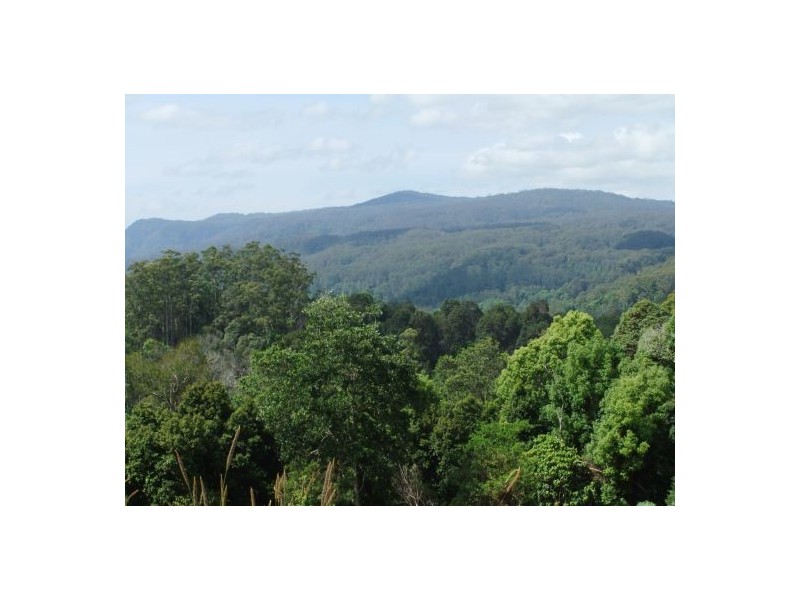 Terania Creek NSW 2480