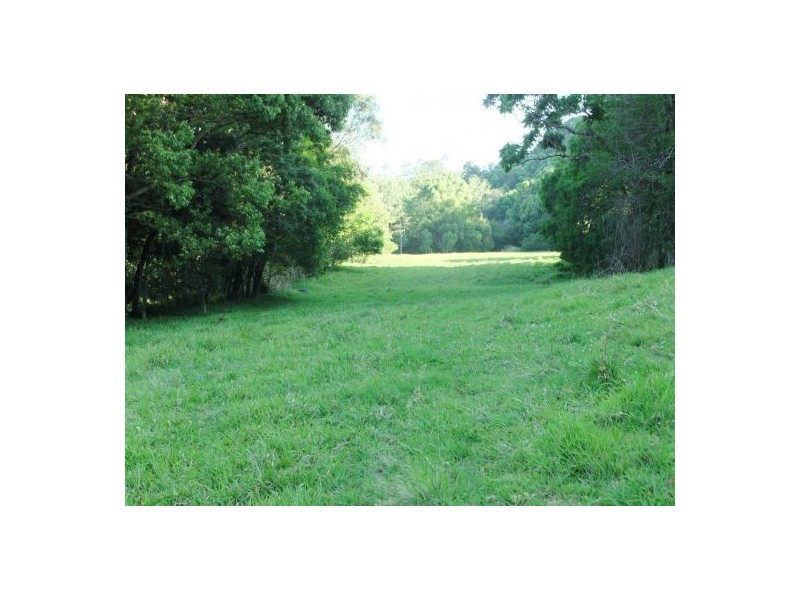 Terania Creek NSW 2480