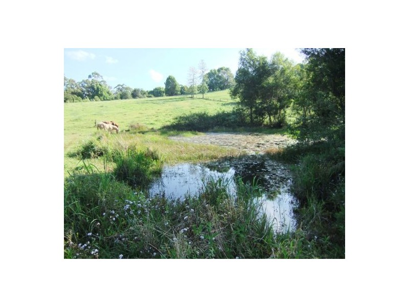 Terania Creek NSW 2480