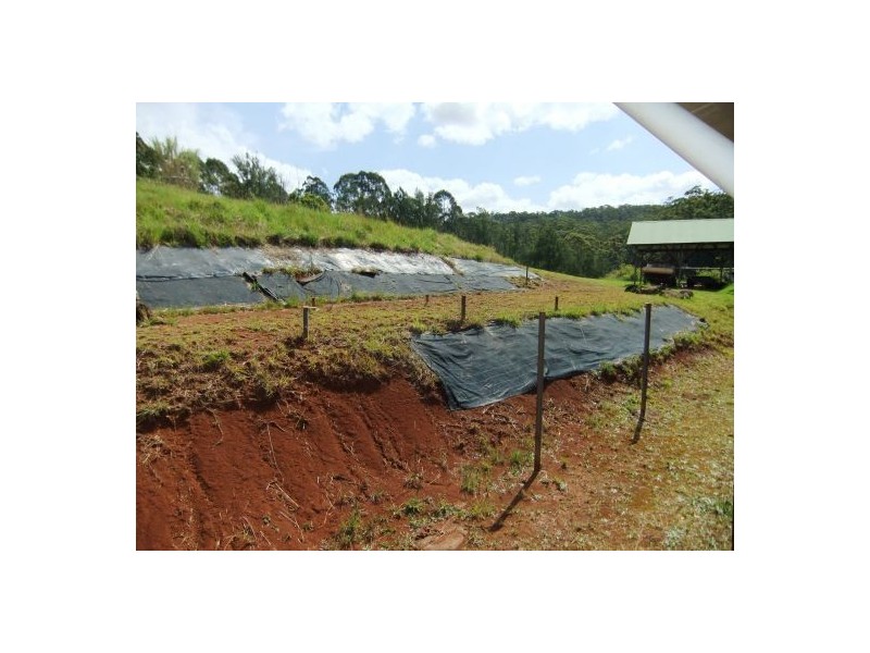 Terania Creek NSW 2480