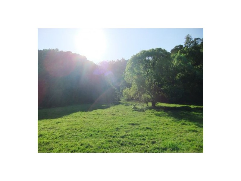 Terania Creek NSW 2480