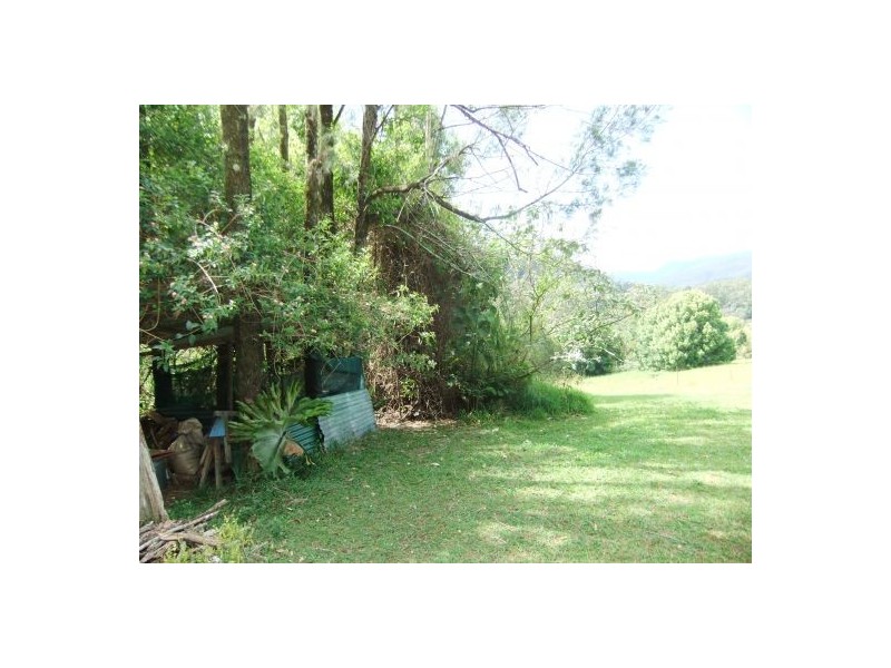 Terania Creek NSW 2480