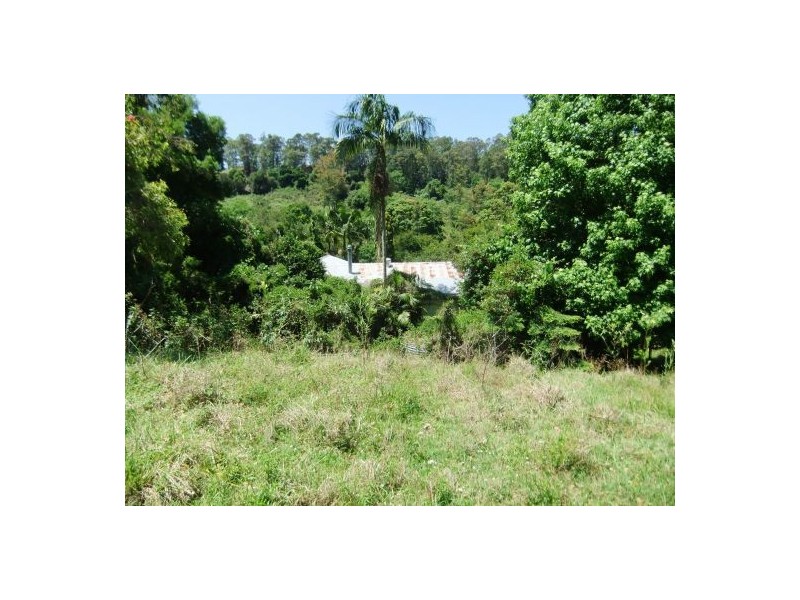 325 Bice Rd, Leycester NSW 2480