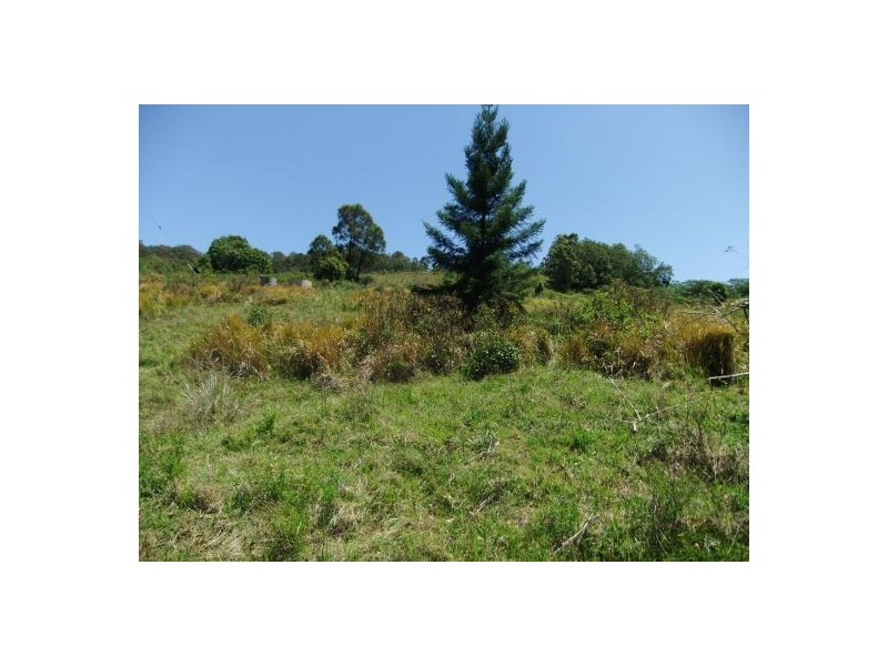 325 Bice Rd, Leycester NSW 2480