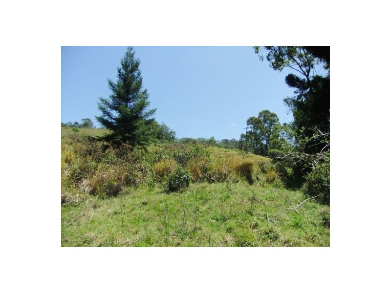 325 Bice Rd, Leycester NSW 2480