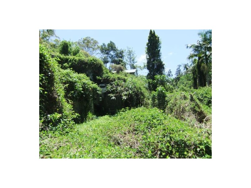 325 Bice Rd, Leycester NSW 2480