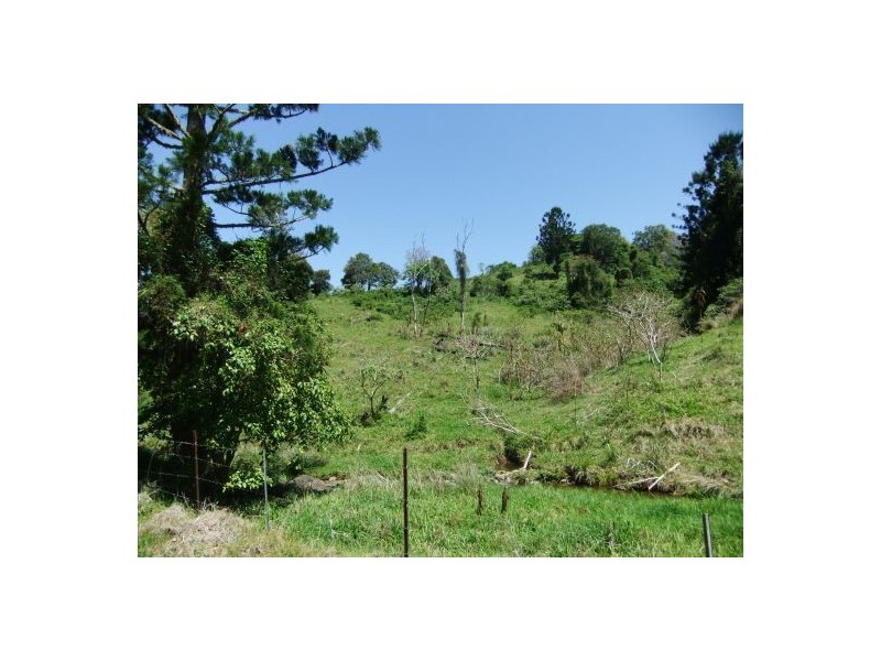 325 Bice Rd, Leycester NSW 2480