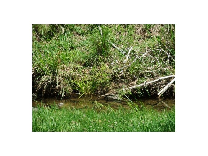 325 Bice Rd, Leycester NSW 2480