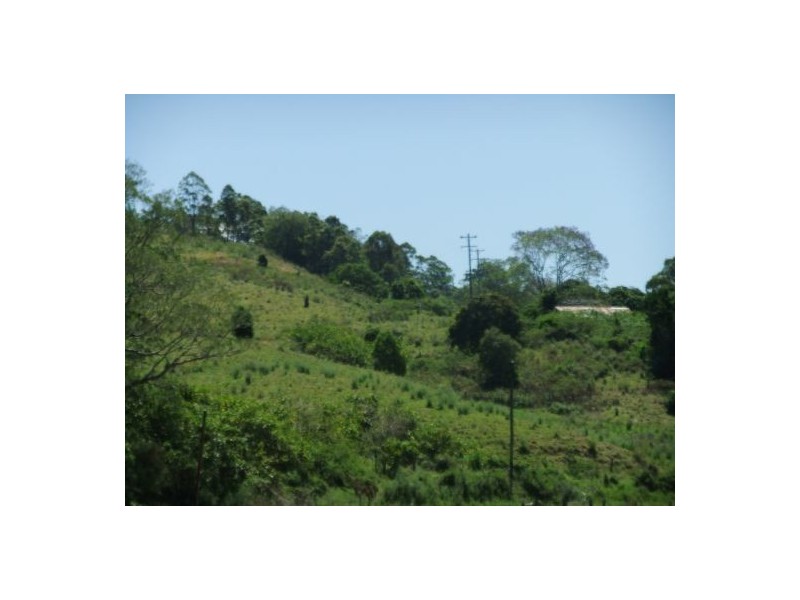 325 Bice Rd, Leycester NSW 2480