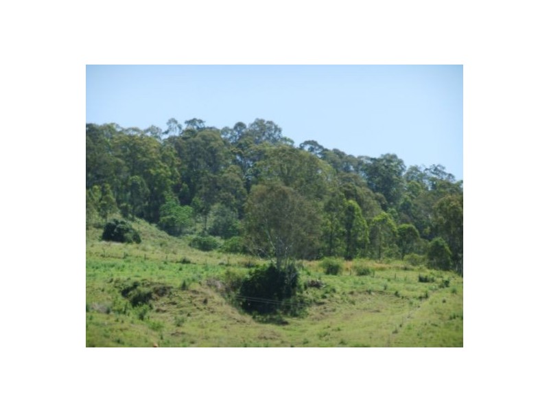 325 Bice Rd, Leycester NSW 2480