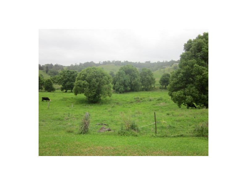 173 Lagoon Grass, Lismore NSW 2480
