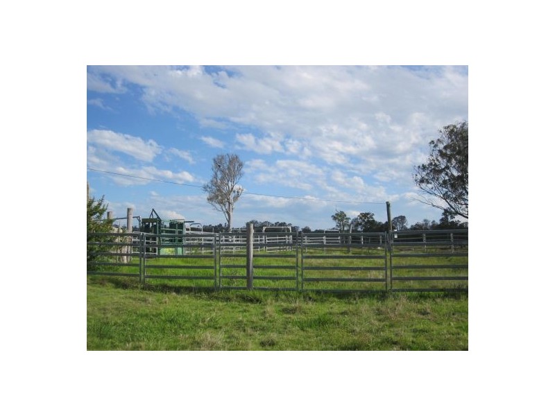 380 Busbys Flat Rd, Casino NSW 2470