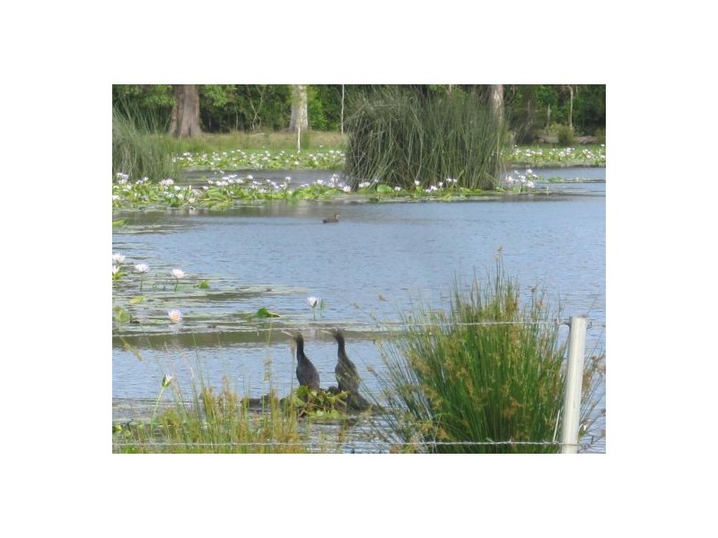 380 Busbys Flat Rd, Casino NSW 2470