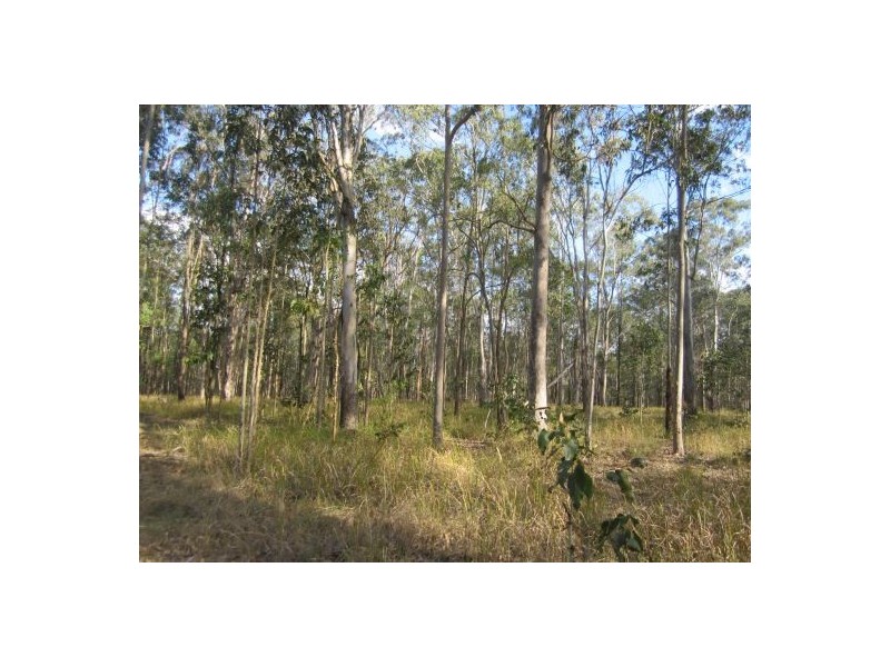 380 Busbys Flat Rd, Casino NSW 2470