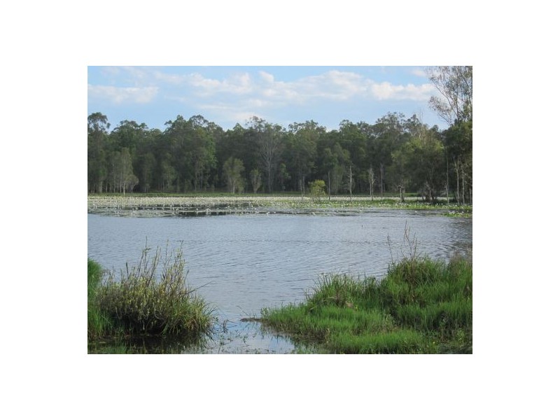 380 Busbys Flat Rd, Casino NSW 2470