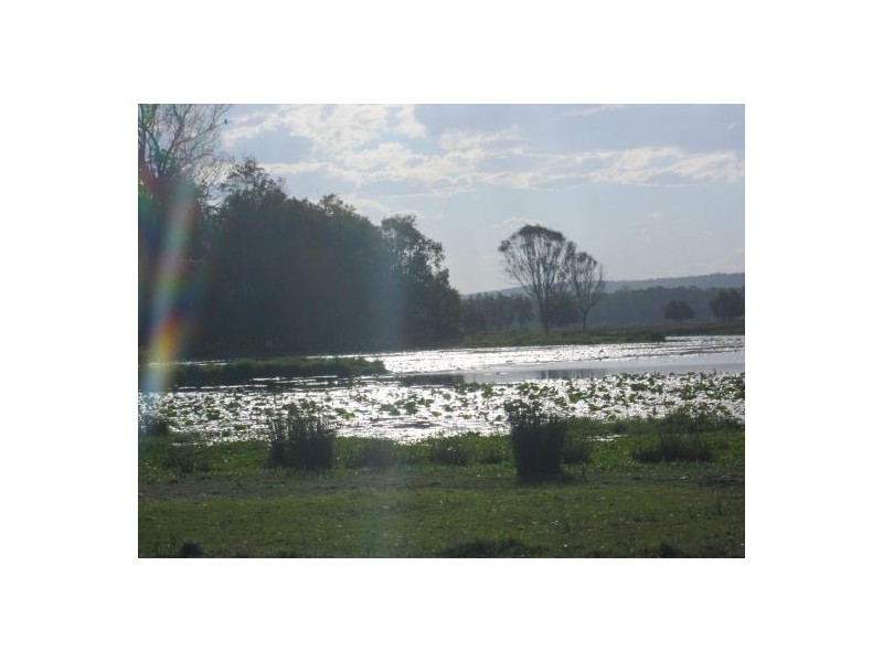 380 Busbys Flat Rd, Casino NSW 2470