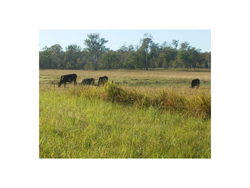 380 Busbys Flat Rd, Casino NSW 2470