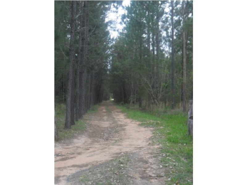 6189 Summerland Way, Casino NSW 2470