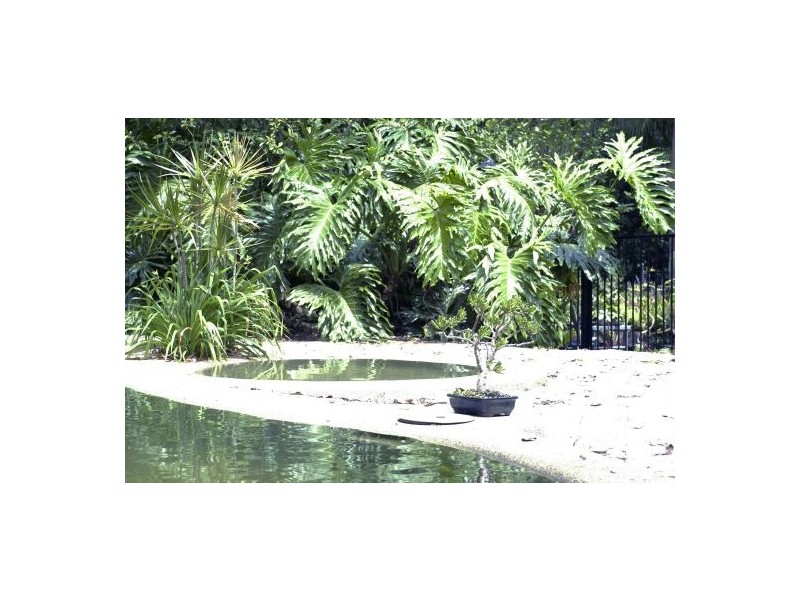 Lot 7/56 Robb Farm Hamlet, Robb Rd, Nimbin NSW 2480