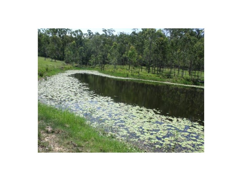 6306 Bruxner Highway, Tabulam NSW 2469