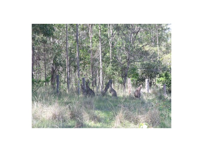 6306 Bruxner Highway, Tabulam NSW 2469