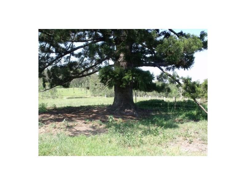 6306 Bruxner Highway, Tabulam NSW 2469