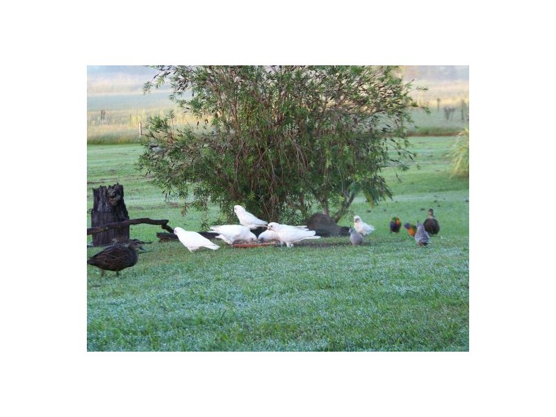 North Casino NSW 2470