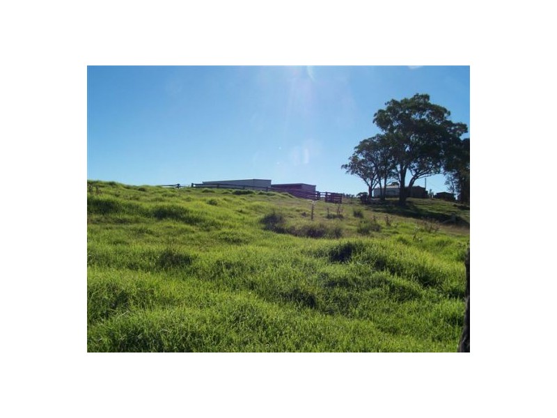 100 Pretty Valley Road, Pinkett NSW 2370