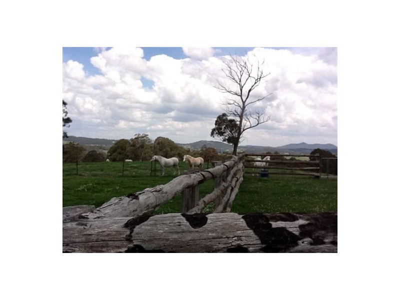 100 Pretty Valley Road, Pinkett NSW 2370