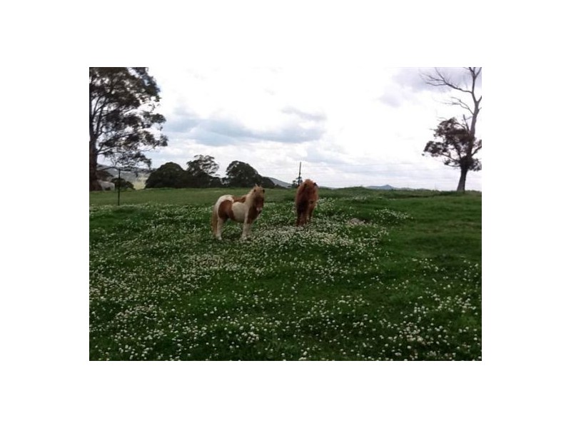 100 Pretty Valley Road, Pinkett NSW 2370