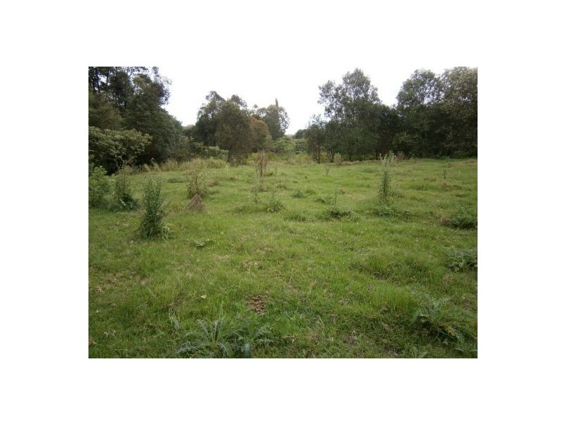 6189 Bruxner Highway, Mummulgum NSW 2469