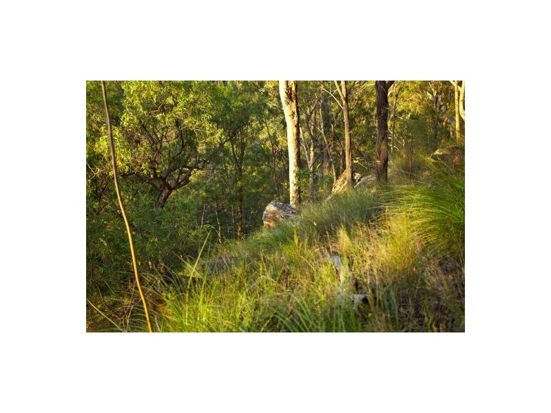 1320 mongogarie, Mongogarie NSW 2470