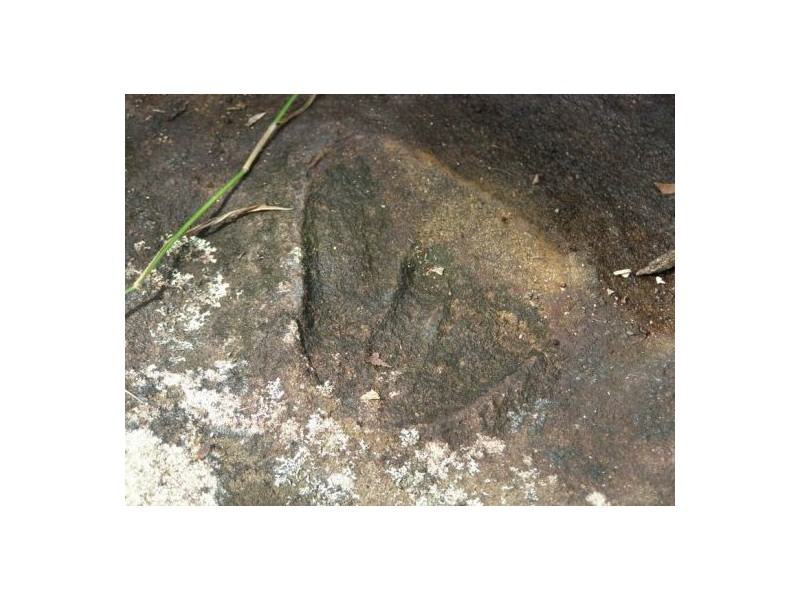 1320 mongogarie, Mongogarie NSW 2470