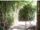 482 Afterlee Road, Kyogle NSW 2474