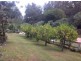 1103 Long Gully Rd, Drake NSW 2469
