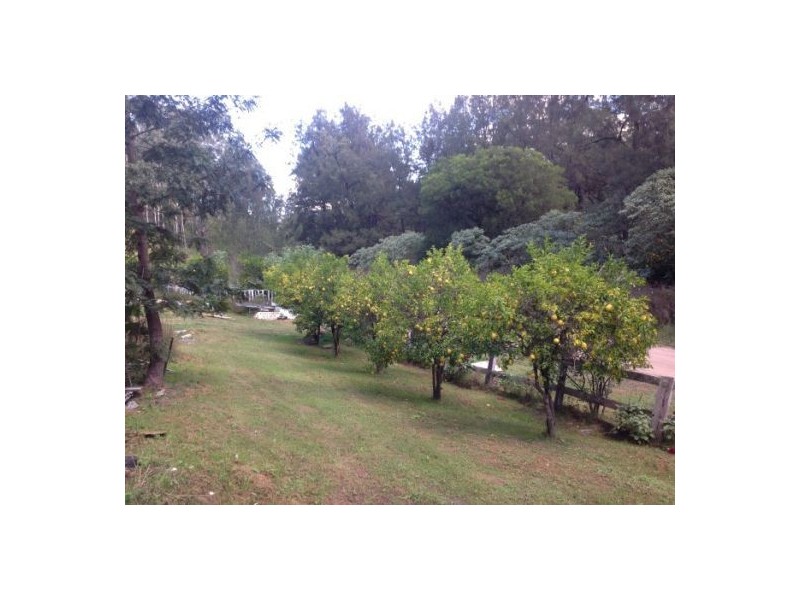 1103 Long Gully Rd, Drake NSW 2469