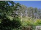 1103 Long Gully Rd, Drake NSW 2469