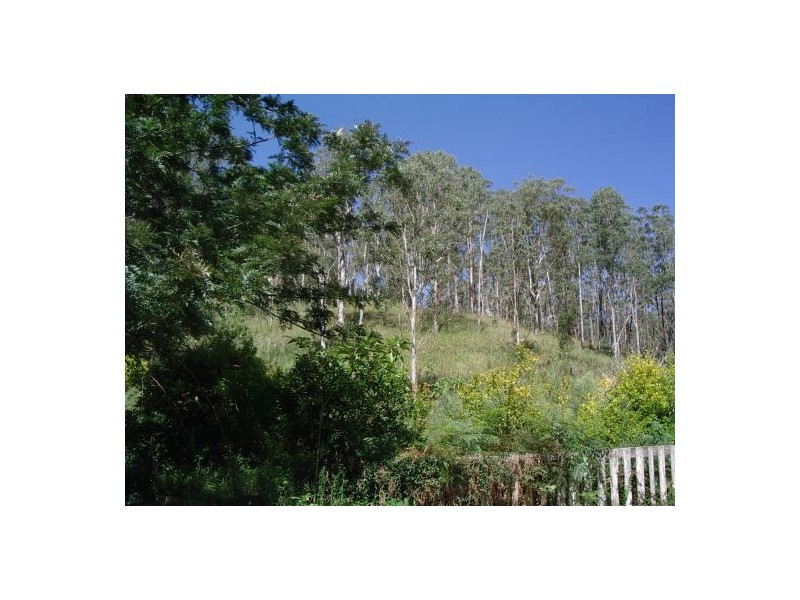 1103 Long Gully Rd, Drake NSW 2469