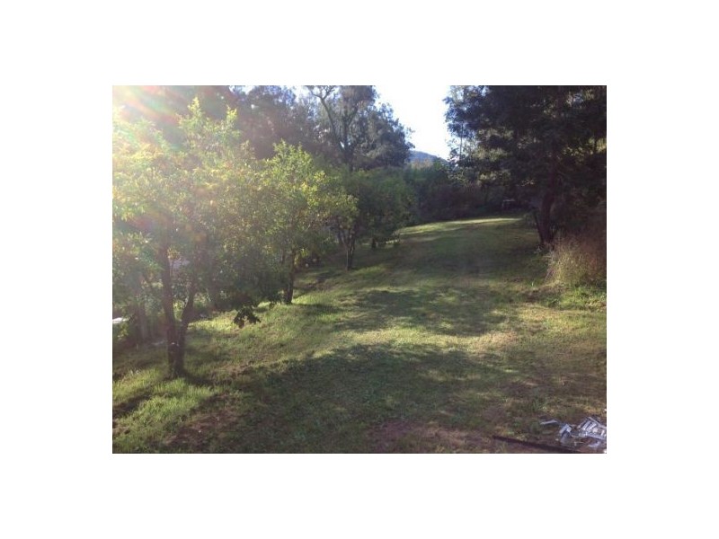 1103 Long Gully Rd, Drake NSW 2469