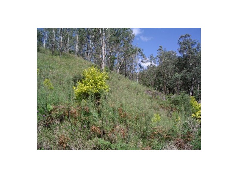1103 Long Gully Rd, Drake NSW 2469