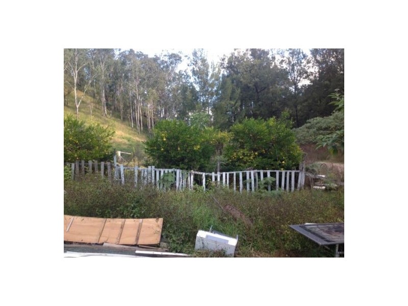 1103 Long Gully Rd, Drake NSW 2469