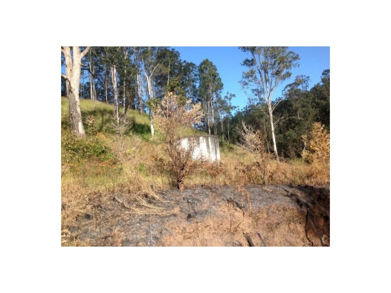 1103 Long Gully Rd, Drake NSW 2469
