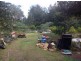 1103 Long Gully Rd, Drake NSW 2469